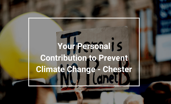 climate change prevention