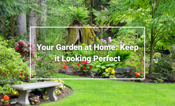 Make Your Garden Look Perfect Garden Clearance Chester